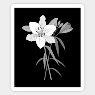 Day Lilies Illustration Monochrome Magnet